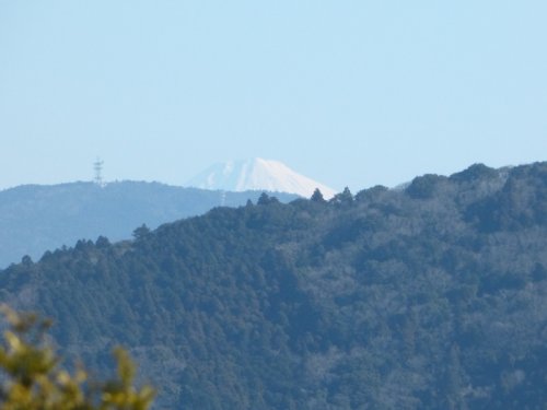 画像11